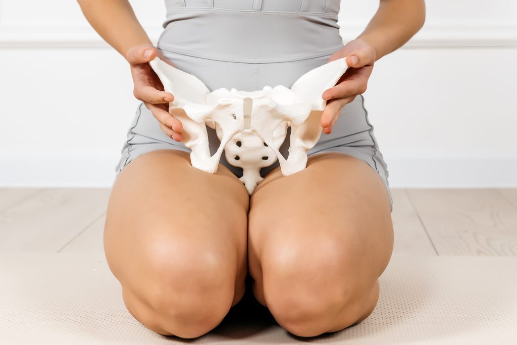 Close-up of a woman holding a pelvis skeletal model, representing women’s pelvic health. 
